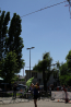 _MG_8884.jpg